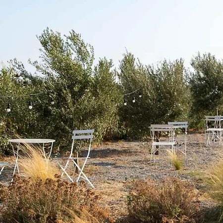 Villa Seasand - Luxury Pool Retreat - 150m Lachania (Rhodes)